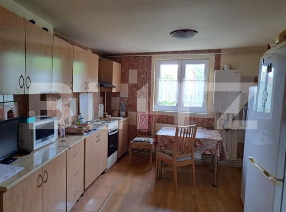 Casa de vânzare 4 camere Gruia - 179563CV | BLITZ Cluj-Napoca | Poza1