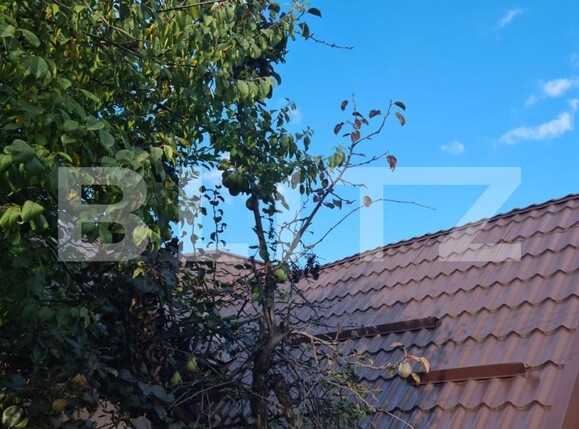 Casa de vânzare 4 camere Gruia - 179563CV | BLITZ Cluj-Napoca | Poza9