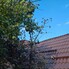 Casa de vânzare 4 camere Gruia - 179563CV - Poza 1 din 9 | BLITZ Cluj-Napoca | Poza8