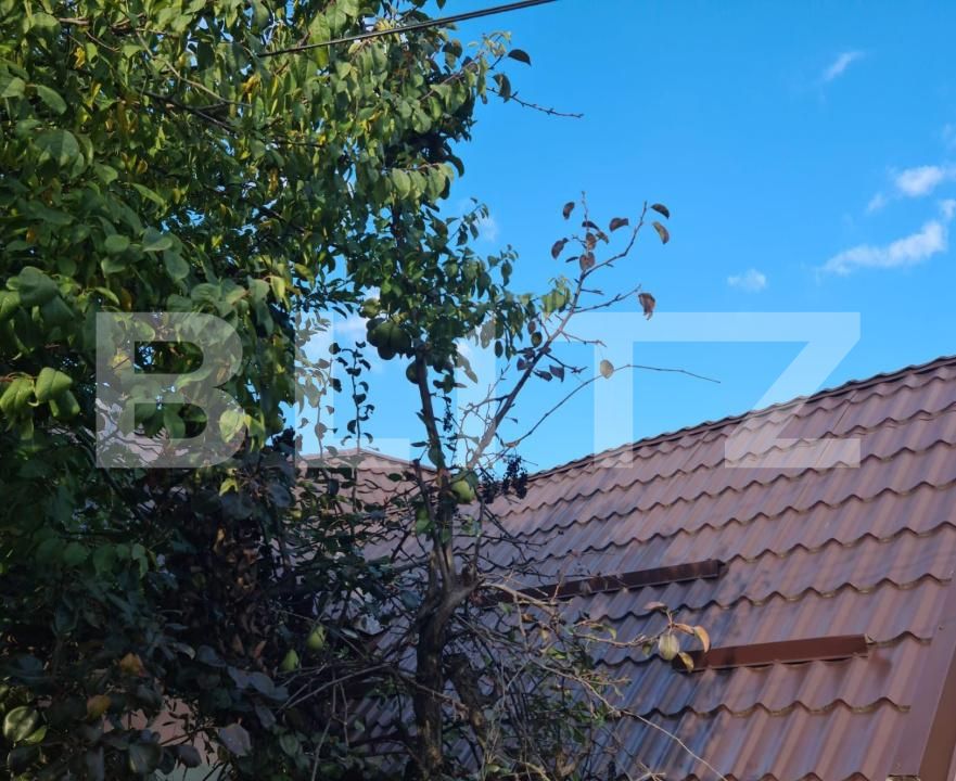 Casa de vânzare 4 camere Gruia - 179563CV | BLITZ Cluj-Napoca | Poza9