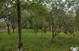 Vanzare casa demolabila, 1565 mp teren, zona de case si vile!