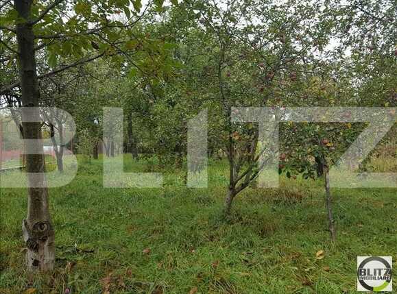 Casa de vânzare 2 camere Dambul Rotund - 17957CV | BLITZ Cluj-Napoca | Poza4