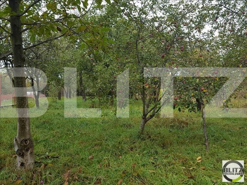 Casa de vânzare 2 camere Dambul Rotund - 17957CV | BLITZ Cluj-Napoca | Poza4