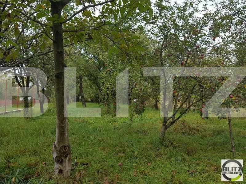 Casa de vânzare 2 camere Dambul Rotund - 17957CV | BLITZ Cluj-Napoca | Poza3