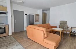 Apartament 2 camere tip studio – Maurer Residence, zona Tractorul!