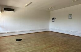 Hală industrială – 1350 mp, compartimentabilă!