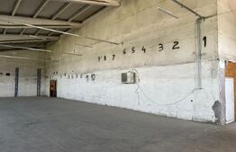 Hală industrială – 1350 mp, compartimentabilă!