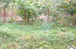 Vanzare casa la pret oportun cu 144 mp utili,  CF individual si prin Prima Casa