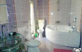 Casa de inchiriat cu 4 camere, 240 mp cu teren 500 mp, Faget