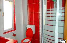 Casa de inchiriat cu 4 camere, 240 mp cu teren 500 mp, Faget