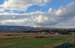 Casa individuala 338 mp, teren 1400 mp, in Mihai Viteazu