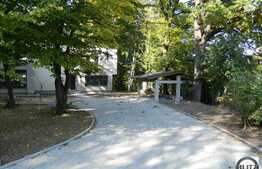 Vila unica in Faget, 3400 mp teren de vanzare, exclusiv prin Blitz Imobiliare