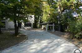 Vila unica in Faget, 3400 mp teren de vanzare, exclusiv prin Blitz Imobiliare