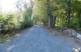 Vila unica in Faget, 3400 mp teren de vanzare, exclusiv prin Blitz Imobiliare