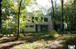 Vila unica in Faget, 3400 mp teren de vanzare, exclusiv prin Blitz Imobiliare