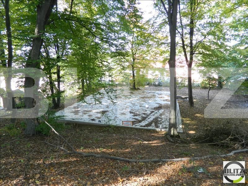 Casa de vânzare 3 camere Făget - 17964CV | BLITZ Cluj-Napoca | Poza7