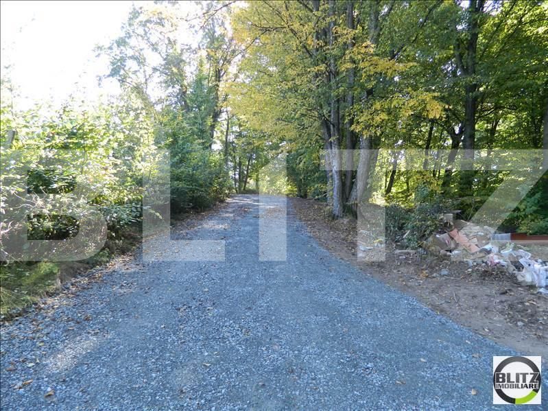 Casa de vânzare 3 camere Făget - 17964CV | BLITZ Cluj-Napoca | Poza9