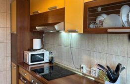 Apartament cu 1 camera, 54 mp, zona Vivo!