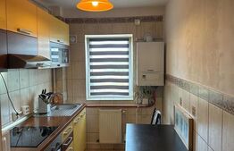 Apartament cu 1 camera, 54 mp, zona Vivo!