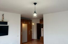 Apartament cu 1 camera, 54 mp, zona Vivo!