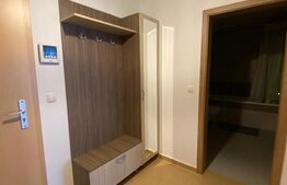 Apartament tip studio în Avantgarden Tractorul