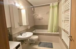 Apartament tip studio în Avantgarden Tractorul