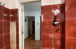 Apartament cu 2 camere, 55 mp, decomandat, în zona Bartolomeu