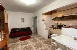 Apartament cu 2 camere, 55 mp, decomandat, în zona Bartolomeu