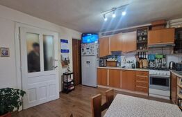 Casa de vanzare, D+P+Etaj+pod -individuala-centrala