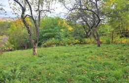 Casă în Săcele – singur în curte, zonă excelentă!