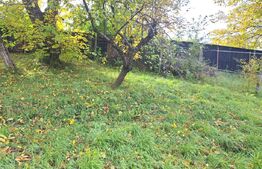 Casă în Săcele – singur în curte, zonă excelentă!