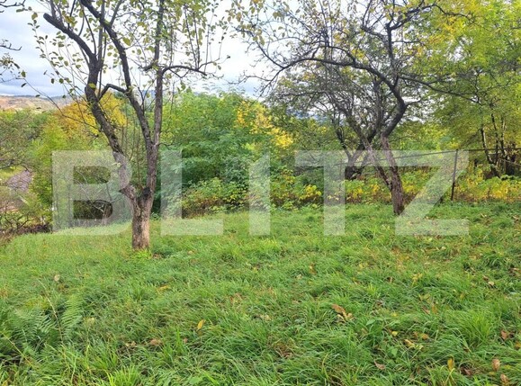 Casa de vânzare 4 camere Sacele - 179743CV | BLITZ Brașov | Poza7