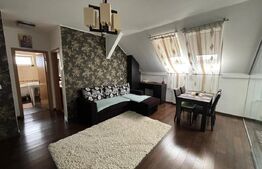 Apartament 2 camere, garaj, zona Porii