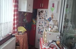 Garsoniera, 19 mp, cu balcon, langa faleza Somesului din Grigorescu 