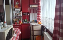 Garsoniera, 19 mp, cu balcon, langa faleza Somesului din Grigorescu 