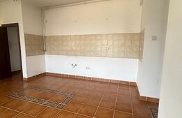 Apartament cu 2 camere + terasa 25 mp, zona Buna Ziua