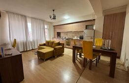 Apartament cu 3 camere, 55 mp, parcare, zona Muzeul Apei