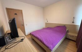 Apartament cu 3 camere, 55 mp, parcare, zona Muzeul Apei