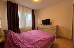 Apartament cu 3 camere, 55 mp, parcare, zona Muzeul Apei