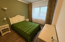  Apartament 2 camere, Petfriendly, parcare, Centru