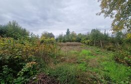 Casa 4 camere 1150 mp teren, la asfalt toate utilitatiile