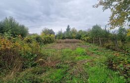 Casa 4 camere 1150 mp teren, la asfalt toate utilitatiile