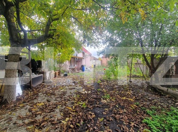 Casa de vânzare 4 camere Sanpetru - 179842CV | BLITZ Brașov | Poza3