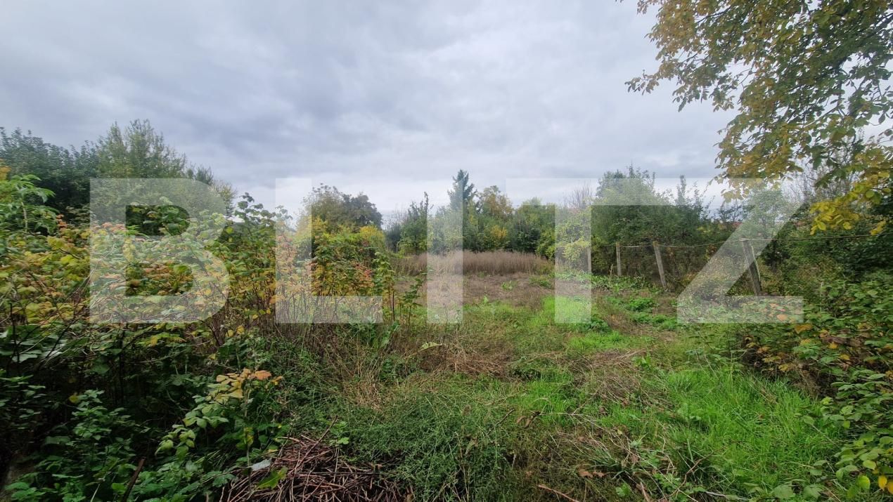 Casa de vânzare 4 camere Sanpetru - 179842CV | BLITZ Brașov | Poza8