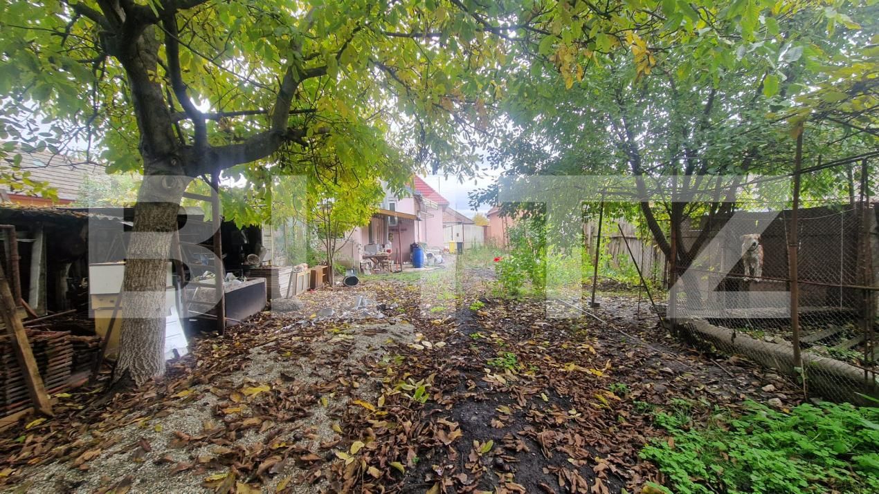 Casa de vânzare 4 camere Sanpetru - 179842CV | BLITZ Brașov | Poza3