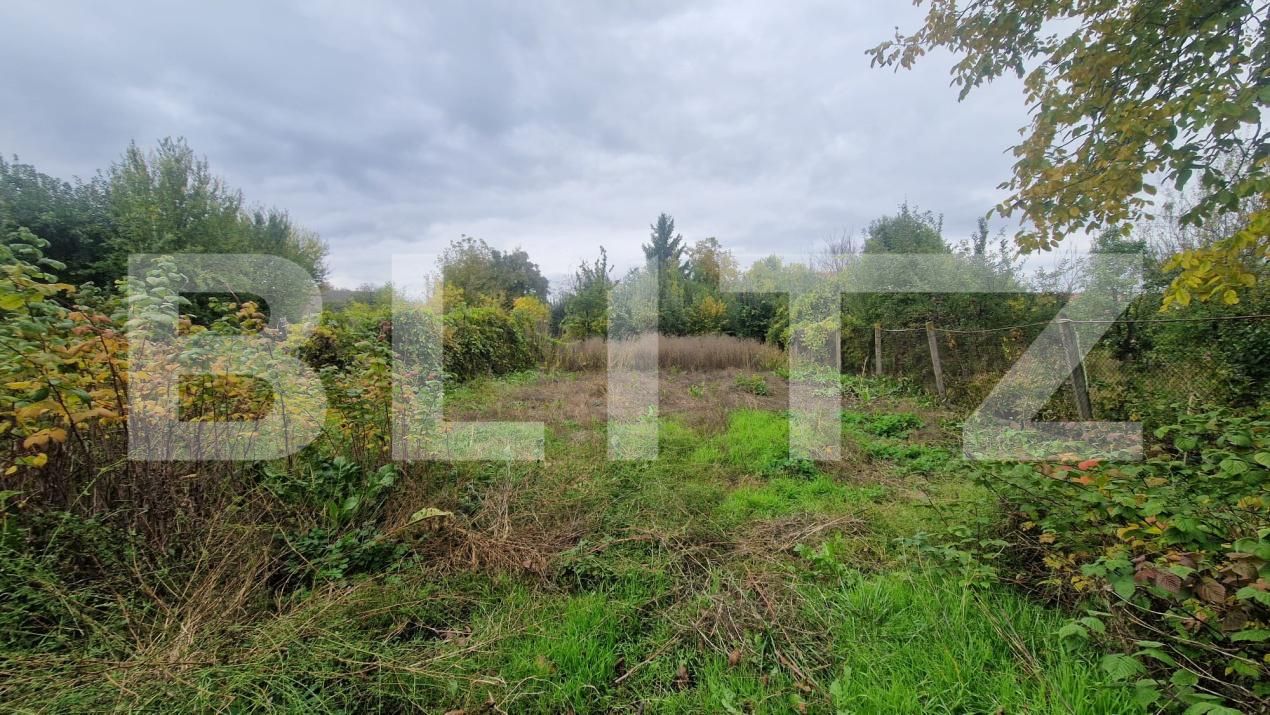 Casa de vânzare 4 camere Sanpetru - 179842CV | BLITZ Brașov | Poza6