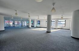 Spatiu de birou 195 mp, zona Strada Oasului