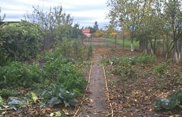 2 case lipite, ideale pentru 2 familii – Hărman, la doar 10 minute de Brașov!