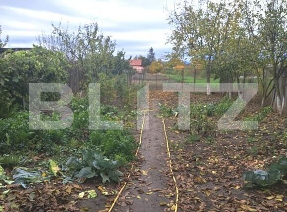 Casa de vânzare 5 camere Harman - 179864CV | BLITZ Brașov | Poza6