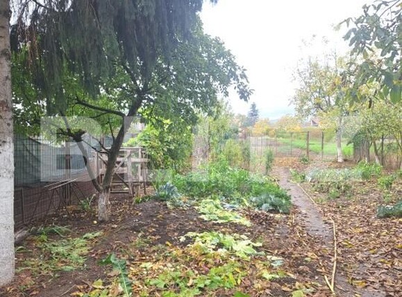 Casa de vânzare 5 camere Harman - 179864CV | BLITZ Brașov | Poza7